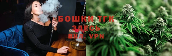шишки Алексеевка
