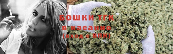 шишки Алексеевка