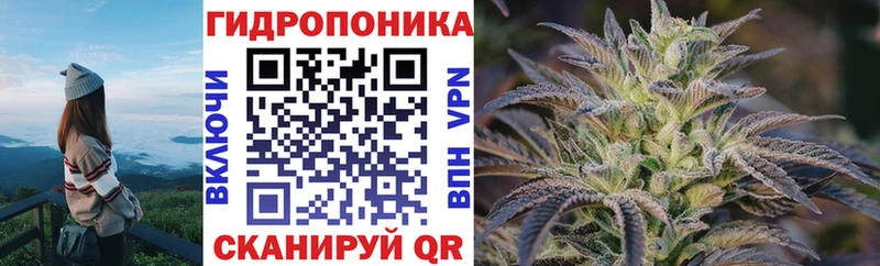 Бошки марихуана Bruce Banner Менделеевск